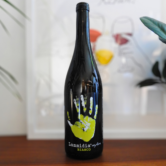 Bianco Anfora 2019, Lammidia