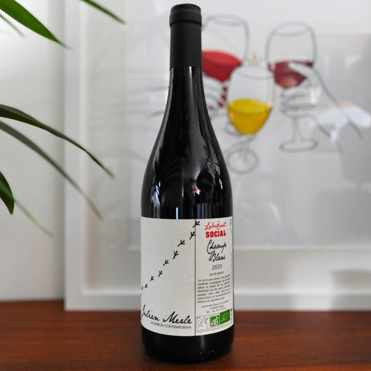 Champ blanc 2020, Julien Merle, Domaine Lubrifiant Social