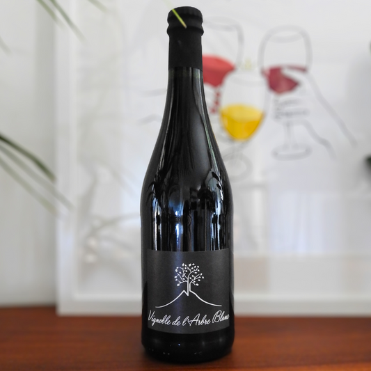 Les Orgues 2019, Frédéric Gounan, Domaine de l'Arbre Blanc