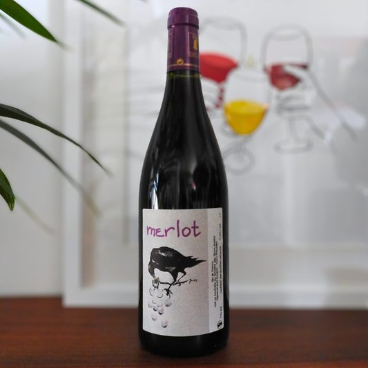 Merlot 2021, Simon Busser, Domaine des rouges