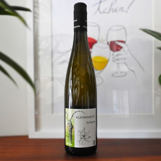 Sylvaner 2021, Domaine Kleinknecht