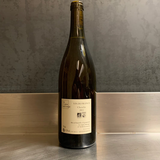 En Vrille 2022, La Vigne Sauvage, David Humbert