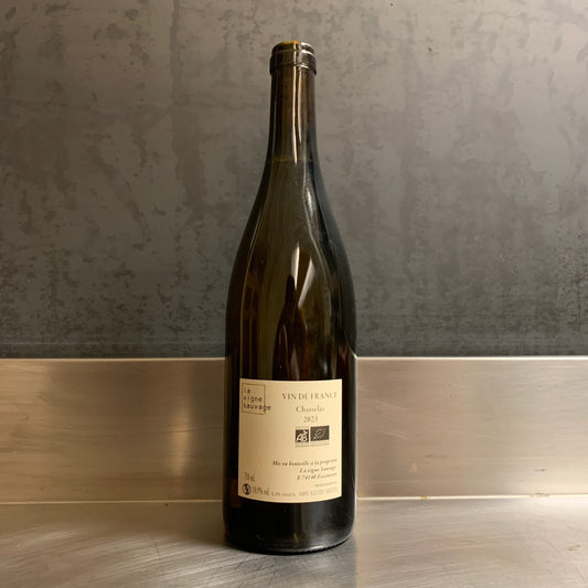 Pulsion Sauvage 2023, La Vigne Sauvage, David Humbert