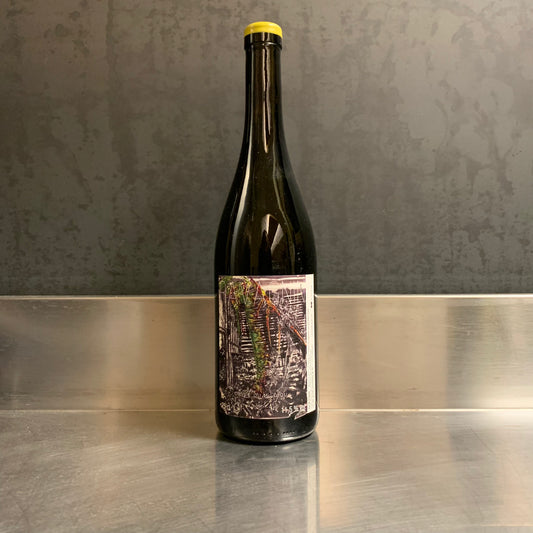 Vin de France blanc "Ravagnin"