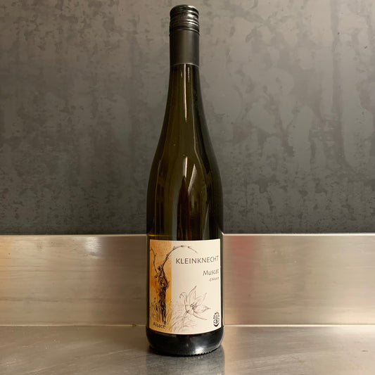 Muscat d'Alsace 2024, Domaine Kleinknecht
