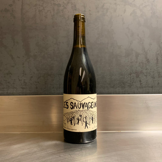 Les Sauvageons 2024, La Vigne Sauvage, David Humbert