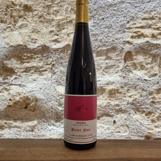Pinot noir w+ 2023, Bruno Schueller