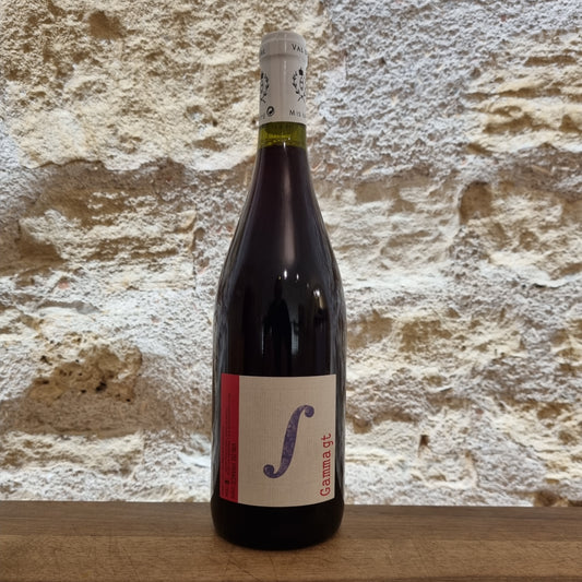 Les Orgues 2019, Frédéric Gounan, Domaine de l'Arbre Blanc
