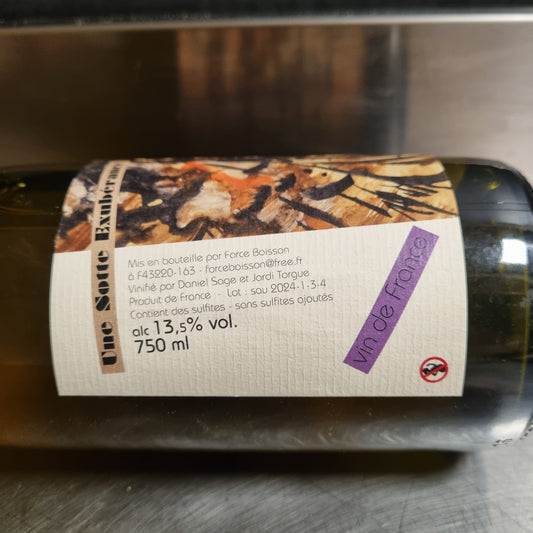 Une sote exubérance 2024-1-3-4, Daniel Sage